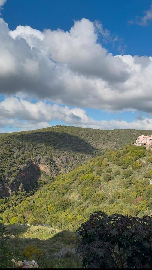 Appartement de vacances pour 12 personnes, avec terrasse et jacuzzi, animaux acceptés