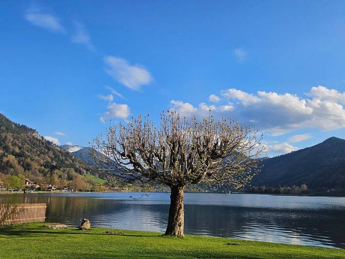 Ferienwohnung für 2 Personen, mit Balkon und Garten, mit Haustier am Schliersee