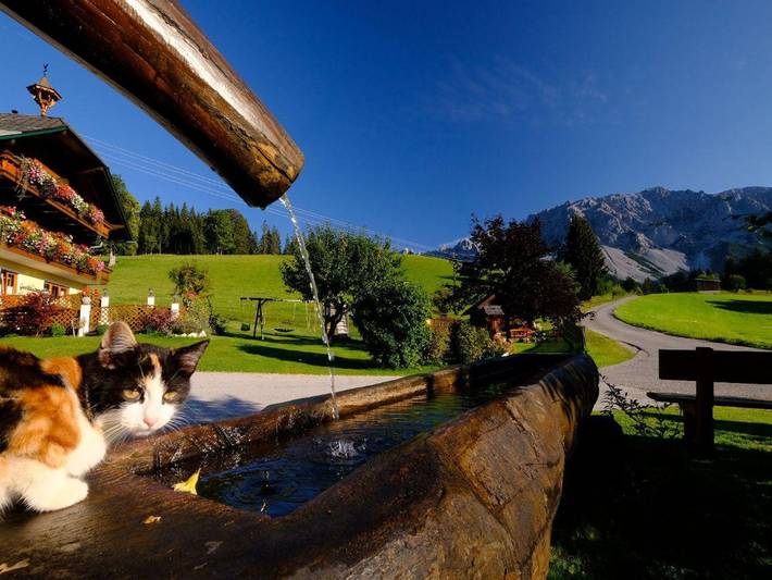 Bauernhaus für 4 Personen, mit Balkon und Garten, kinderfreundlich in Schladming-Dachstein - 3