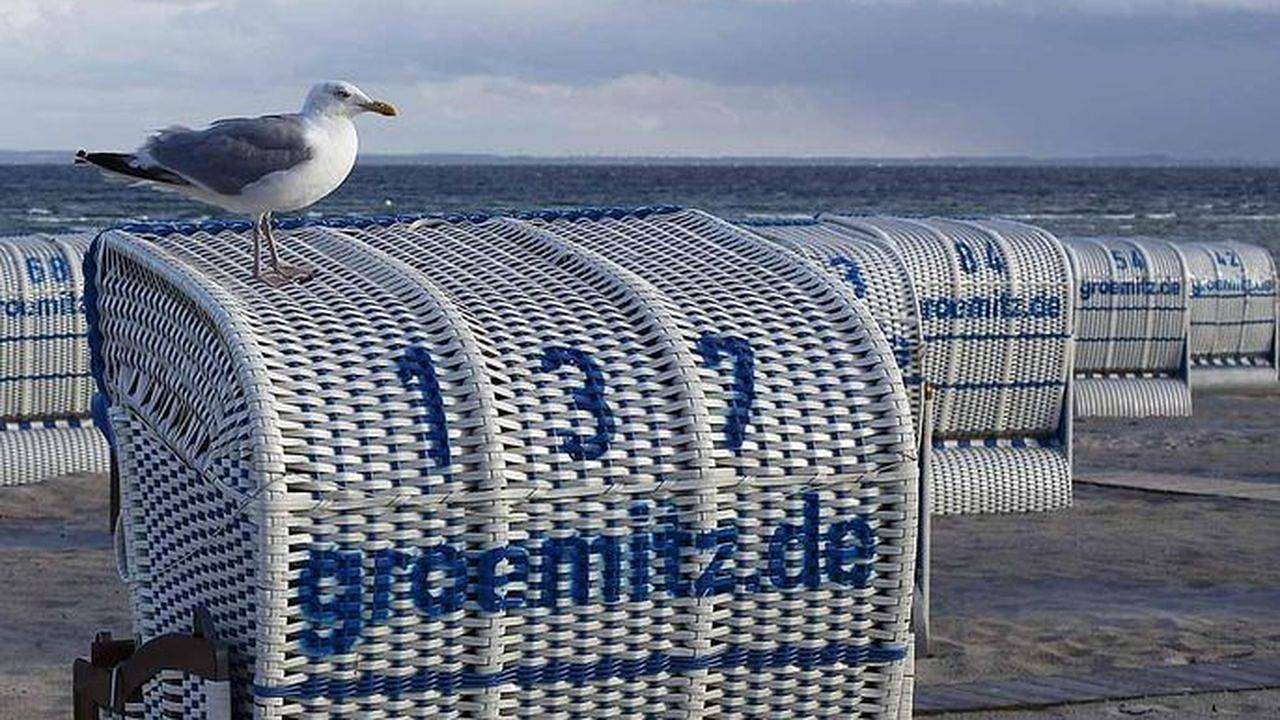 Ganze Ferienwohnung, Ferienwohnung für 2 Personen (40 m²) in Schashagen in Bliesdorf Strand, Schashagen