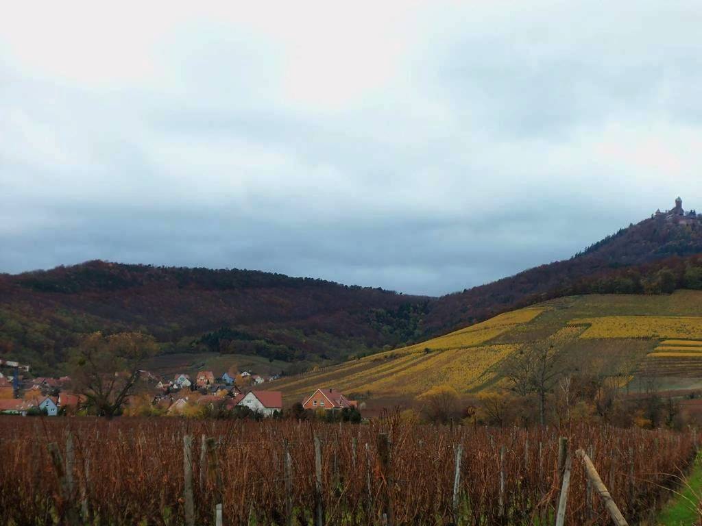 Appartement entier, Apartment Route du Vin Centre Alsace in Orschwiller, Région de Sélestat-Erstein