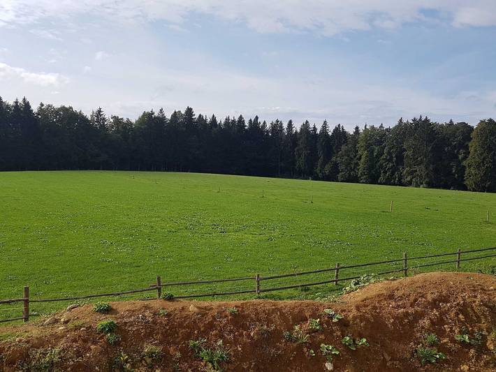 Bauernhaus für 6 Personen, mit Balkon, mit Haustier in Alpenland Tegernsee Schliersee - 3