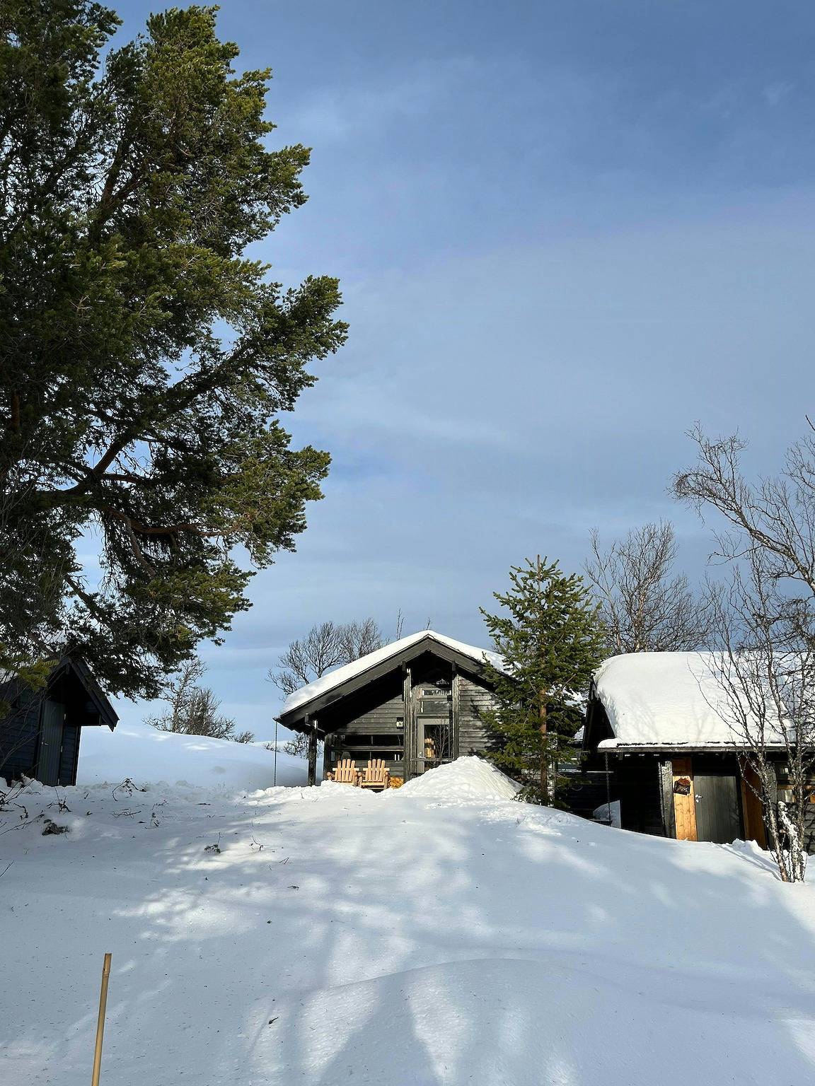 Furuly Hütte in Sangefjell mit Ruhe und Natur in Ål