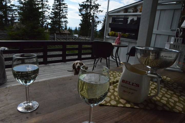 Hytte for 6 personer, med jacuzzi og sauna i tillegg til hage, dyr tillatt i Ringsaker 