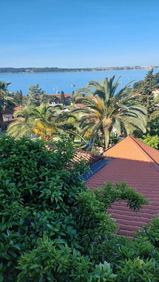 Cały apartament, Apartma Ursa in Piran, Slovene Riviera