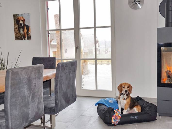 Ferienhaus für 8 Personen, mit Sauna und Garten, mit Haustier in Wismarer Bucht - 3