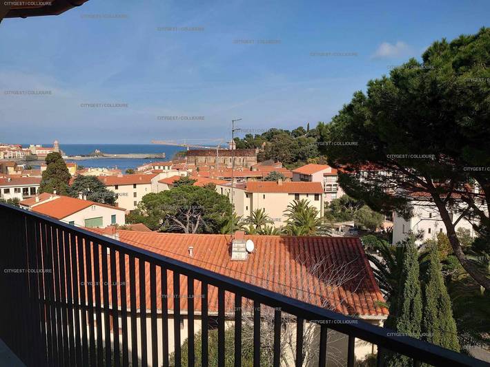 Location de vacances pour 4 personnes, avec terrasse, animaux acceptés à Collioure