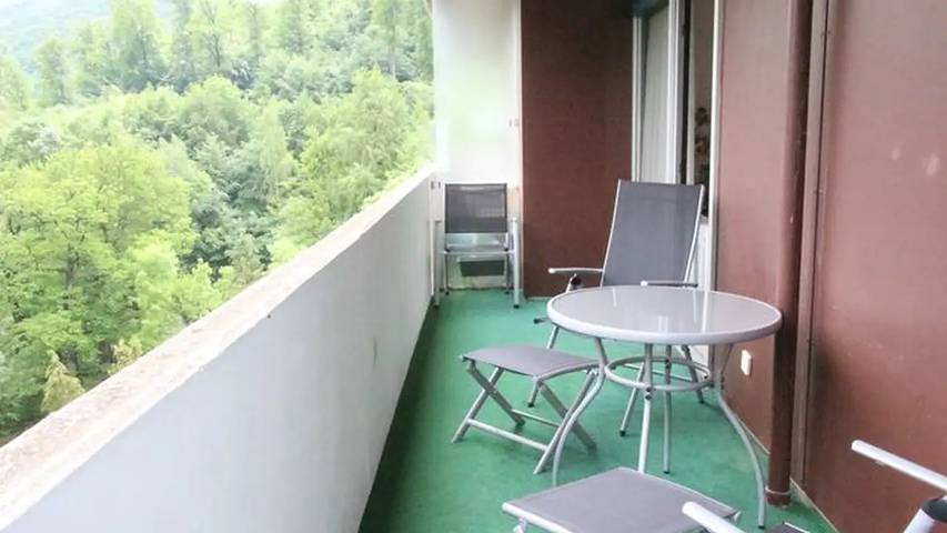 Ferienwohnung für 3 Personen, mit Balkon und Pool sowie Sauna, mit Haustier in Bad Harzburg - 3