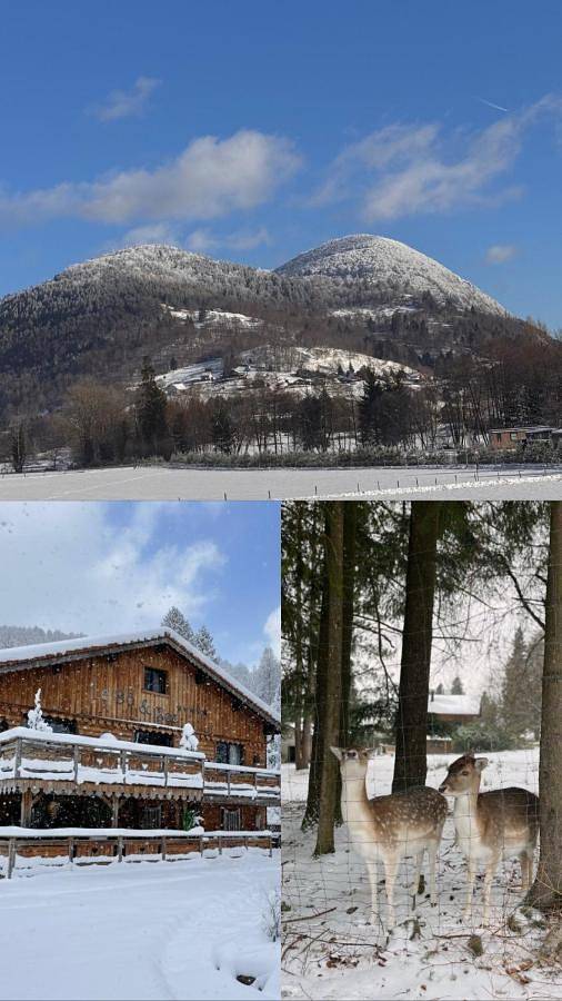 Chalet pour 15 personnes, avec sauna et piscine ainsi que jacuzzi et jardin à Bussang - 2