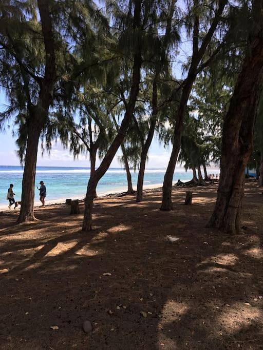 Gîte pour 3 personnes, avec terrasse et vue dans Plage de Saint-Leu - 4