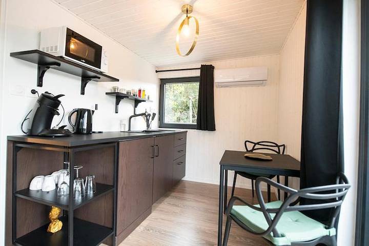 Bateau pour 2 personnes, avec vue et terrasse, animaux acceptés dans Île de France - 4