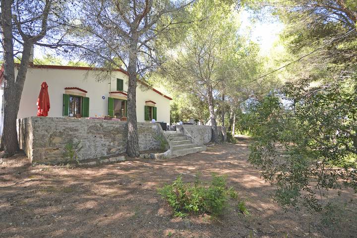 Finca für 6 Personen, mit Terrasse in Alcúdia - 2