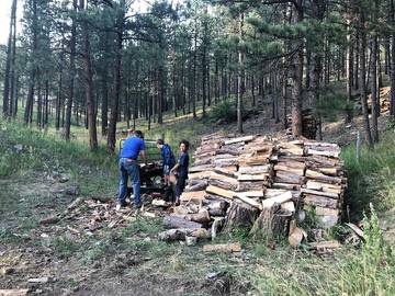 Log Cabin for 4 Guests in Black Hills, South Dakota, Picture 4