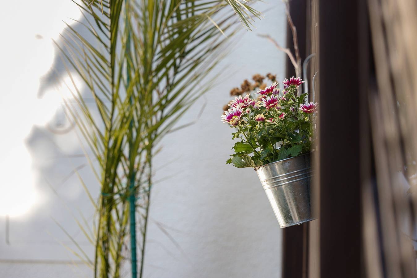 Ganze Wohnung, Ferienwohnung 'Cathleen Bohnert' mit Bergblick, privater Terrasse und Wi-Fi in Lindau, Bayerisch Schwaben