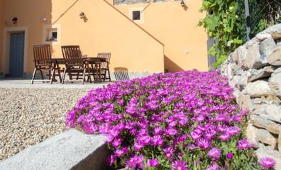 Appartamento Vacanze per 4 Persone in Vesime, Langhe, Foto 2