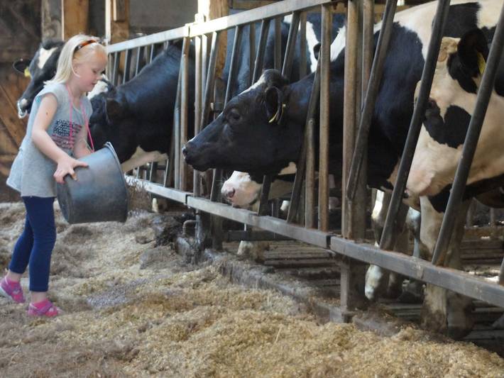 Ferienhaus für 7 Personen, mit Garten, kinderfreundlich in Rhauderfehn - 3