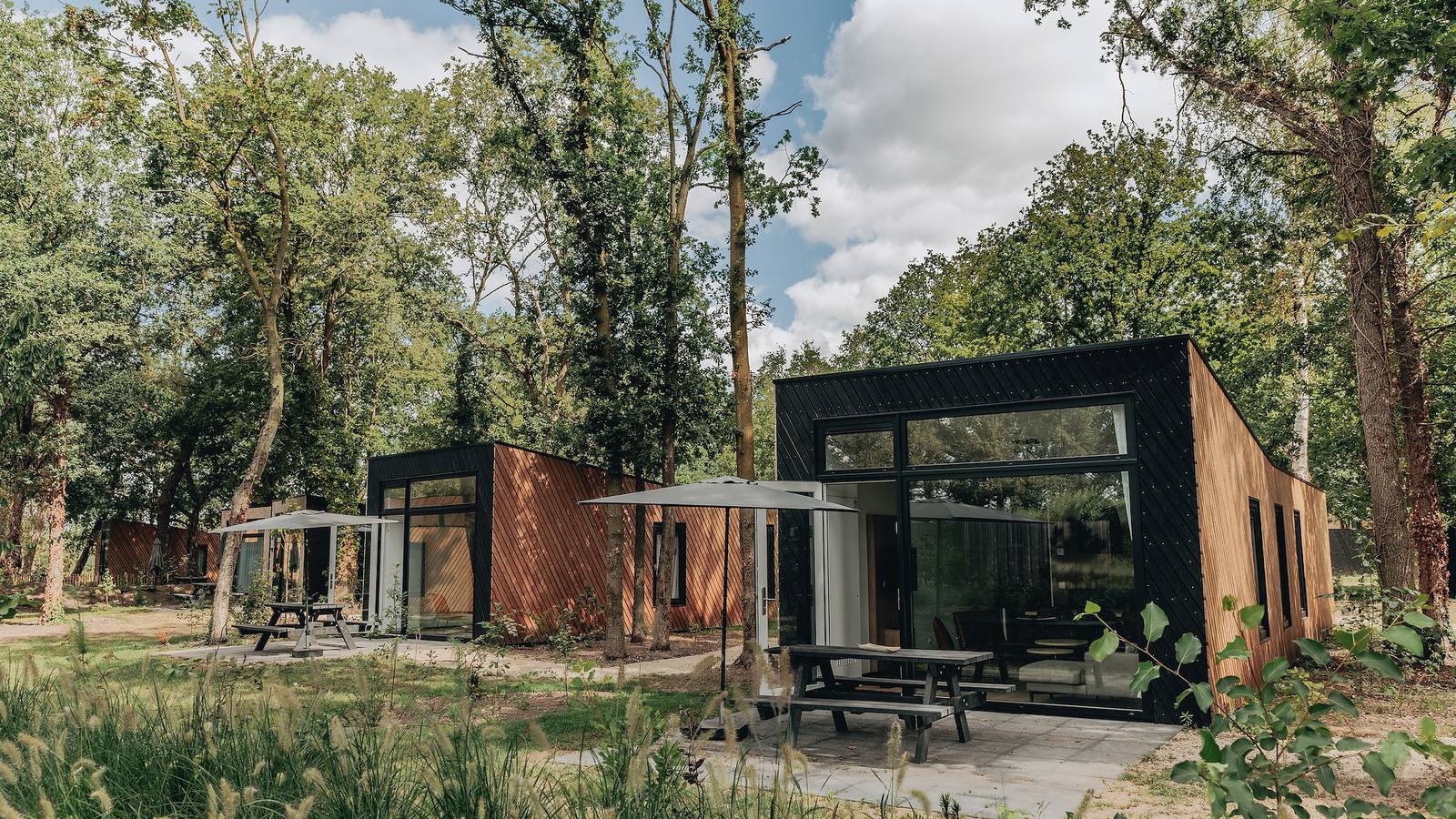 Summio Schaijk — Forest Cabin 6 in Landerd, Noord-Brabant