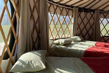 Glamping for 6 People in Fernhurst, West Sussex, Photo 1
