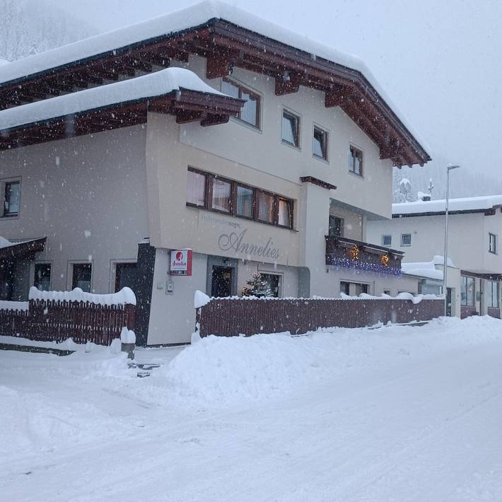 Ganze Ferienwohnung, App. "Martin" 1 Schlafraum, 2-3 Personen in Tuxer Alpen, Hintertux