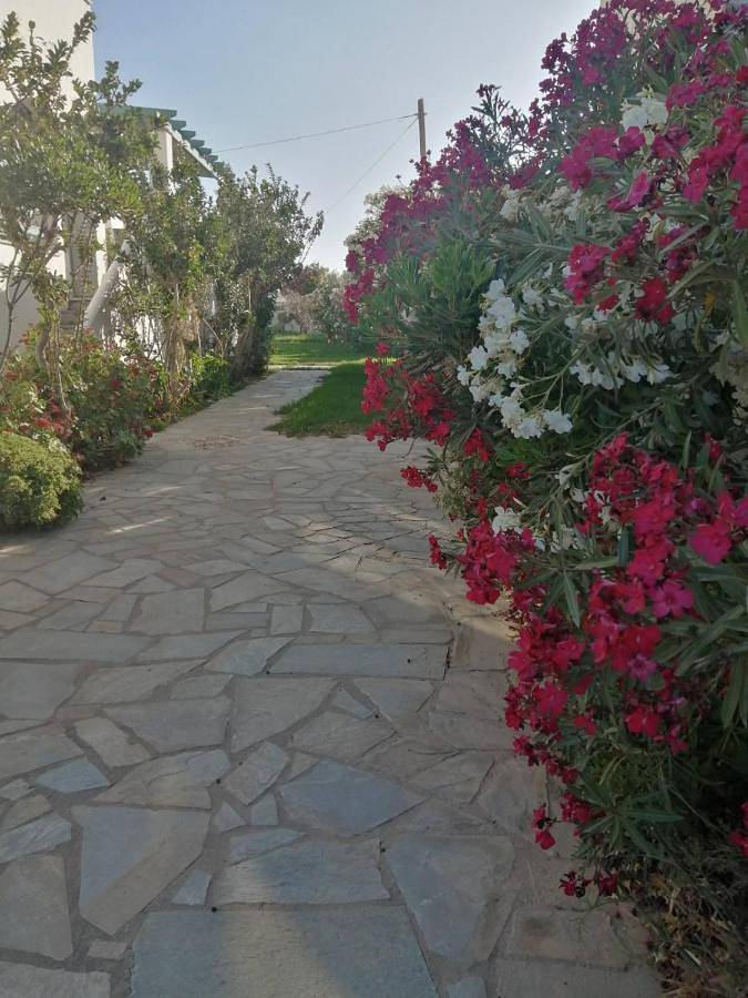 Hotel Kapari in Agia Anna, Naxos