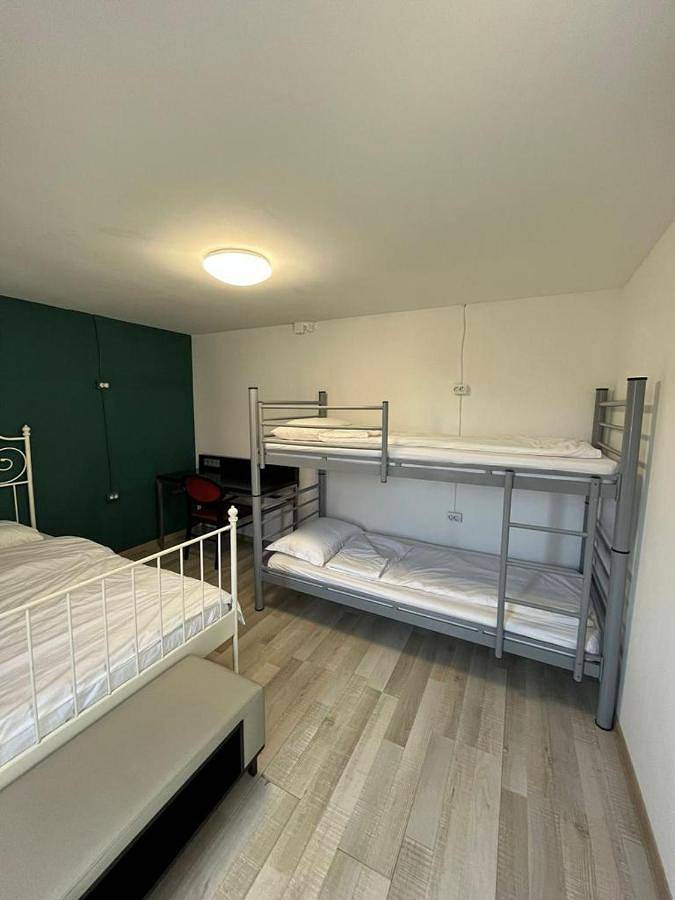 Maison d’hôte pour 2 personnes, avec jardin, animaux acceptés dans Vama Veche - 2