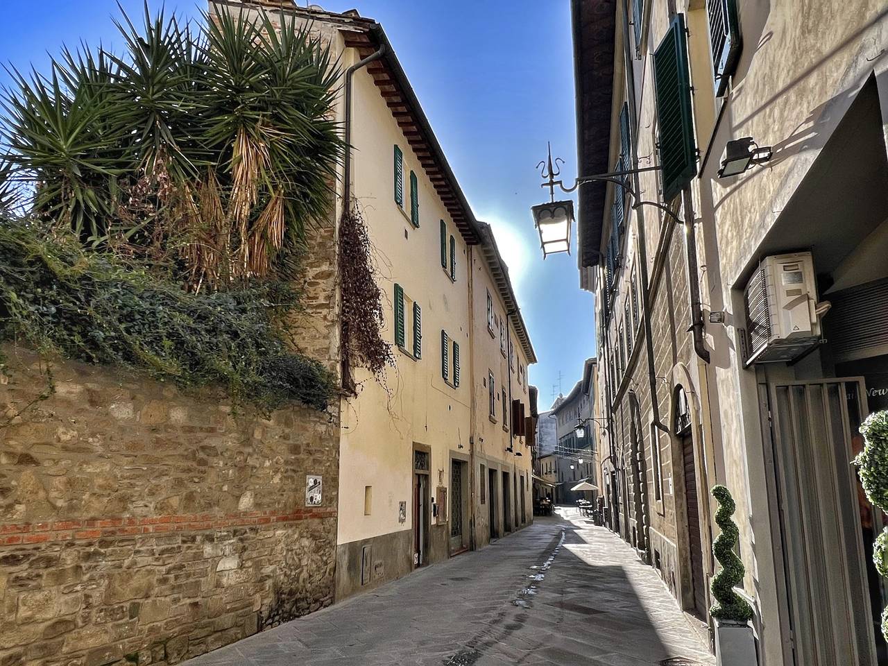 Tolletta 10 e Lode in Arezzo, Arezzo Province