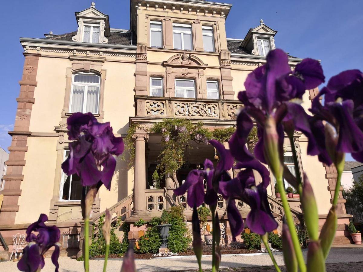Maison d’hôte pour 2 personnes avec terrasse in Colmar, Région de Colmar
