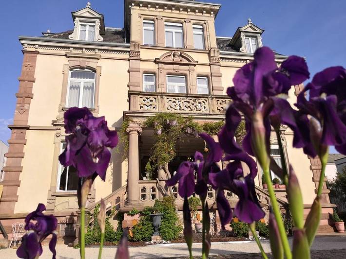 Pension voor 2 personen, met Terras in Colmar