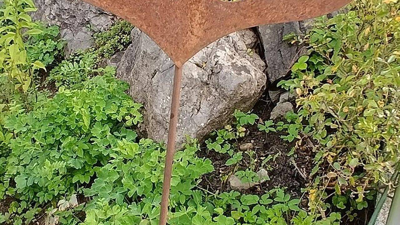 Ganze Ferienwohnung, Ferienwohnung für 5 Personen (68 m²) in Mellau in Mellau, Bregenzerwald