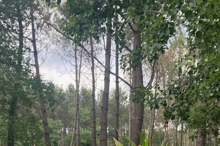 Gîte pour 4 personnes, animaux acceptés à Brach