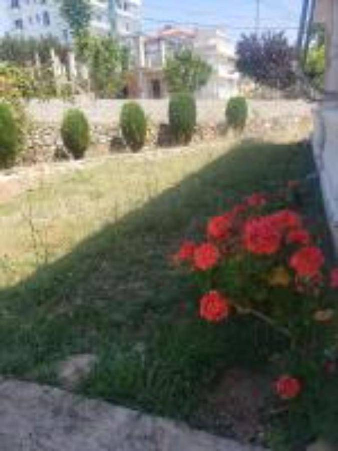 Gîte pour 2 personnes, avec balcon dans Borsh - 4