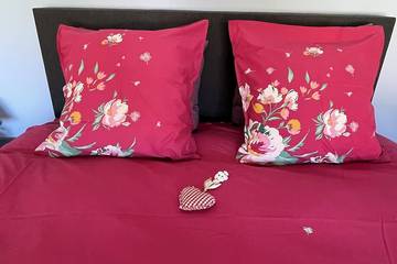 Chambre D’hôte pour 6 Personnes dans Anthé, Région de Villeneuve-sur-Lot, Photo 3