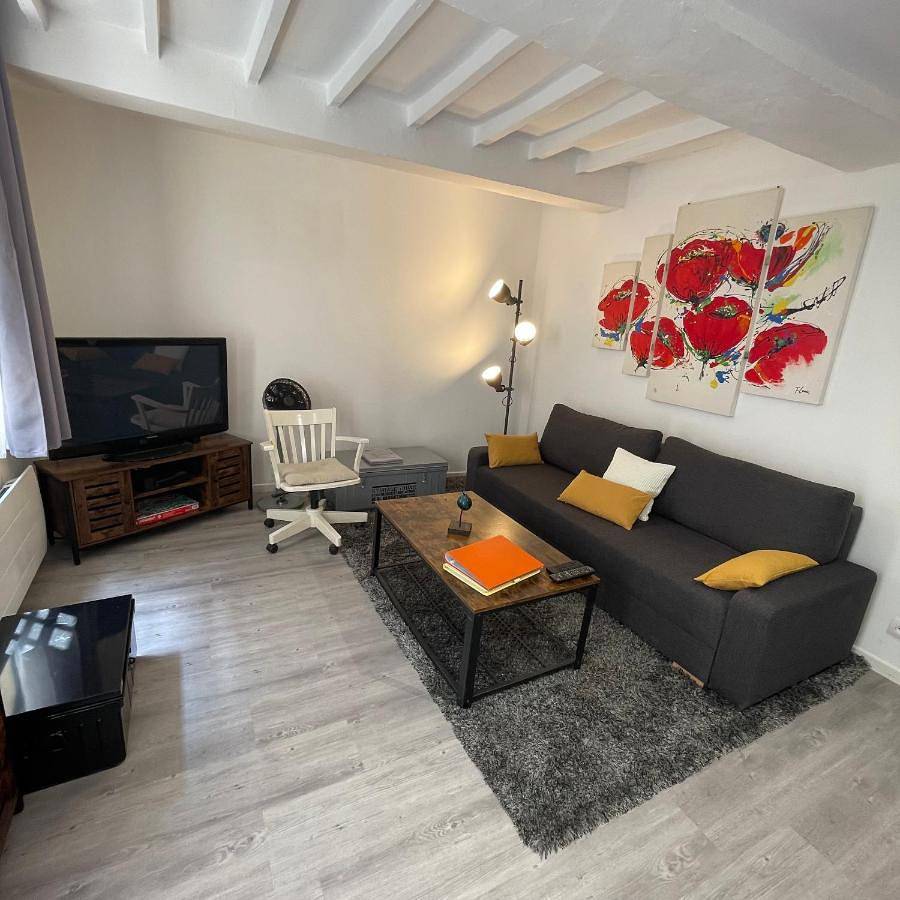 Appartement entier, Appartement intra-muros bien situé et agréable à proximité des théâtres in Avignon, Vaucluse