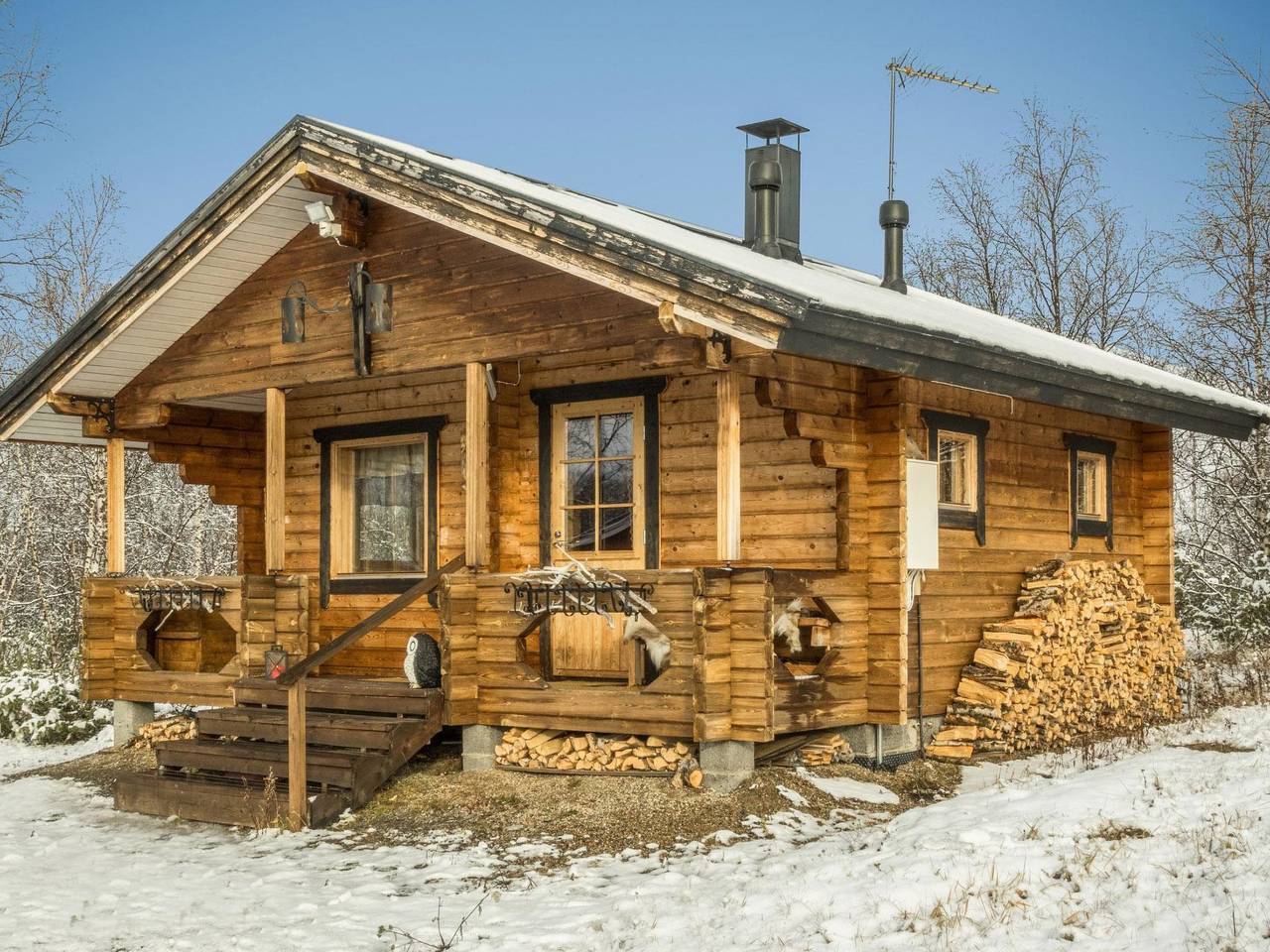 Pikkupöllö in Lappland