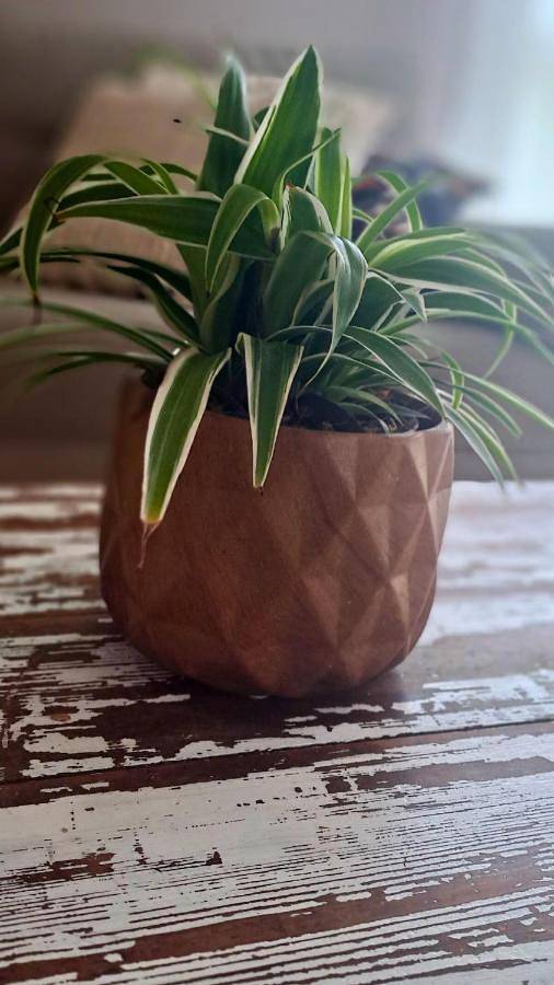 Gîte pour 4 personnes à Le Rheu - 3