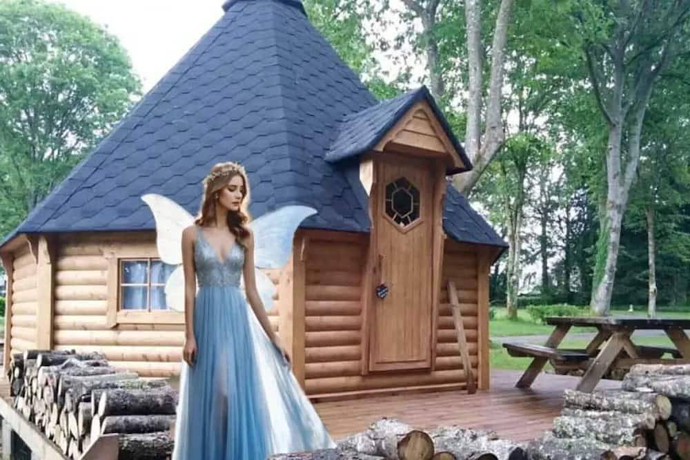 Zecamping 3 étoiles dog friendly sauna cabane Tv 31m2 2 pers in Priziac, Pontivy und Umgebung