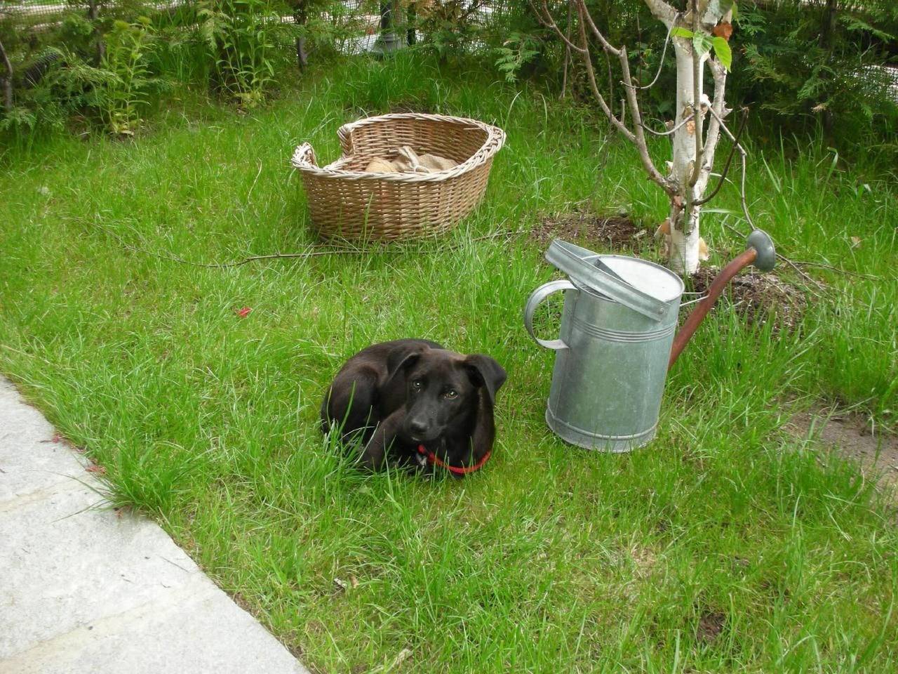 Appartamento intero, Mit Bergblick in Epinel, Cogne