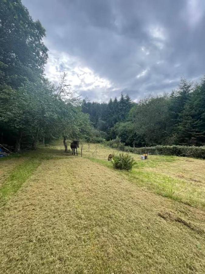 Location de vacances pour 6 personnes, avec jardin, animaux acceptés à Ban-de-Laveline - 2