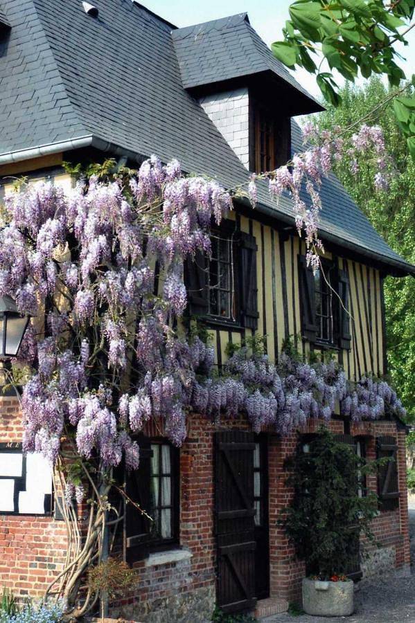 Maison d’hôte pour 2 personnes, avec Balcon et Terrasse ainsi que Jardin et Vue à Croix-Mare