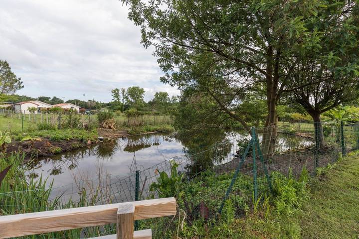 Gîte pour 6 personnes, avec jardin, animaux acceptés dans Réserve naturelle du Courant d'Huchet - 4