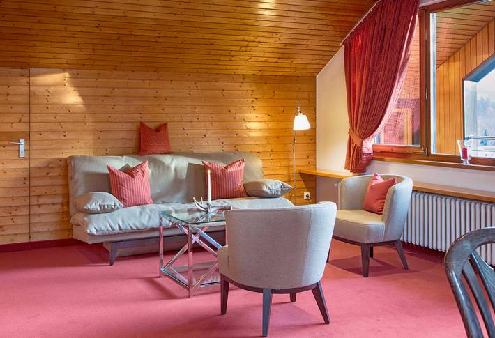 Ferienwohnung für 4 Personen, mit Sauna und Garten, mit Haustier in Hinterzarten