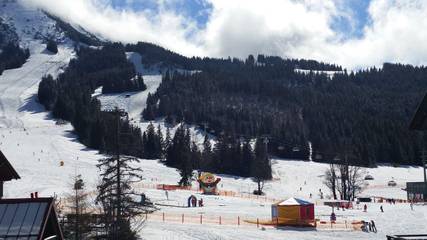Hütte für 2 Personen in Bad Hindelang, Allgäuer Alpen, Bild 4