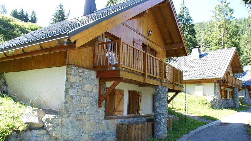 Chalet pour 8 personnes, avec terrasse ainsi que jardin et piscine, animaux acceptés à Vaujany