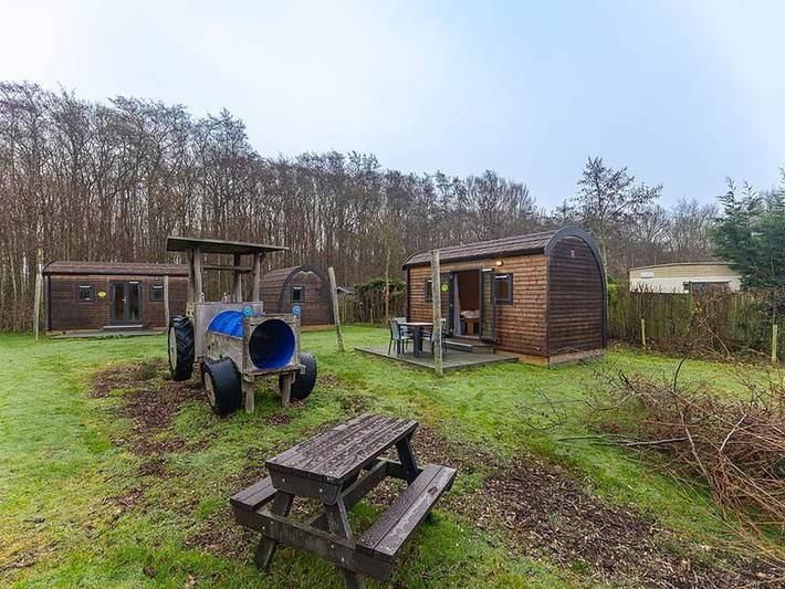 Ferienhaus für 4 Personen, mit Terrasse, mit Haustier in Burgh-Haamstede - 4