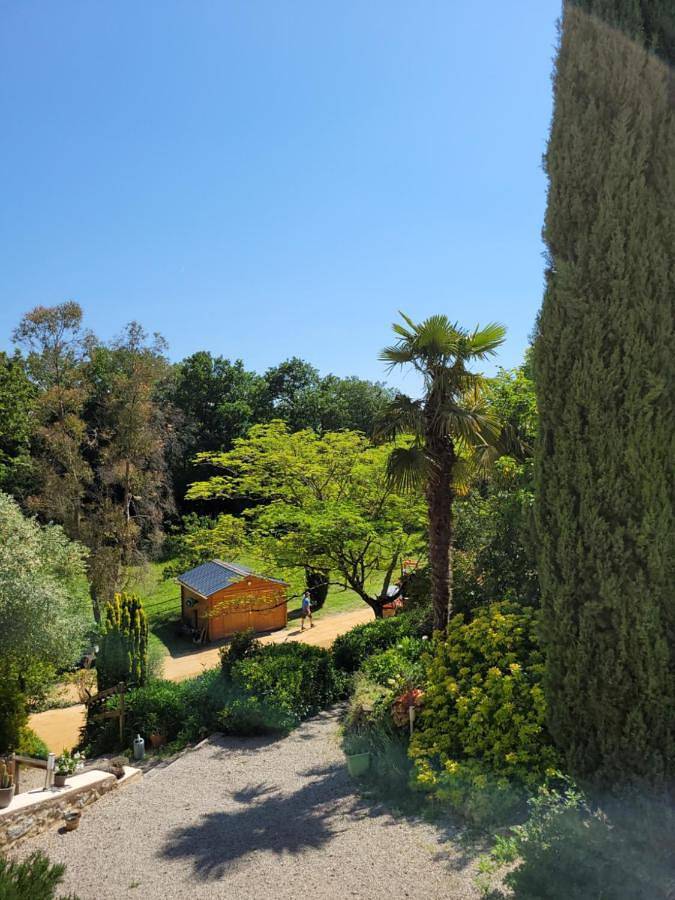 Chambre d’hôte pour 2 personnes, avec piscine et jardin à Castelnau-de-Montmiral - 4
