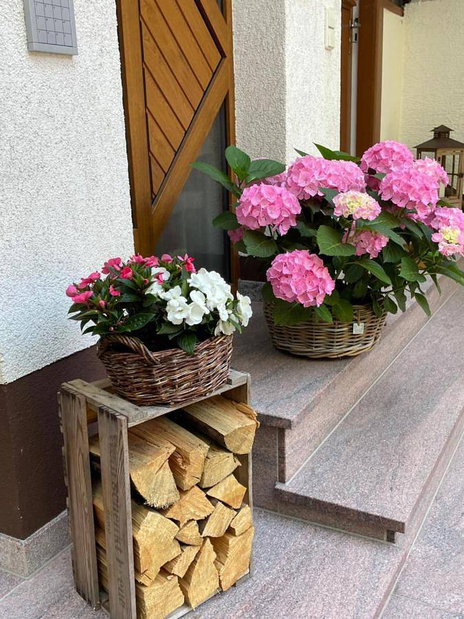 Maison d’hôte pour 2 personnes, avec jardin ainsi que sauna et vue dans Dorrenbach