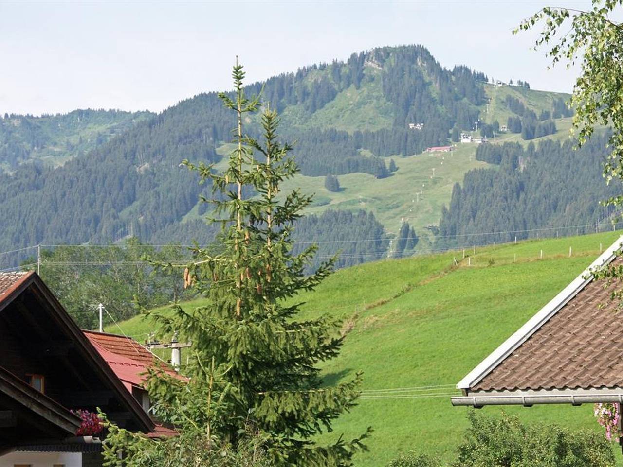 Ganze Ferienwohnung, Haus Arnika Fewo Jacobs in Fischen, Bayerisch Schwaben