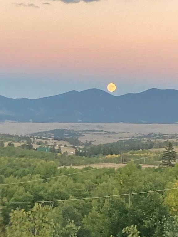 Abgeschiedene Berghütte im Wald in Park County