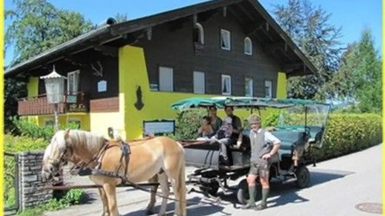 Ganze Ferienwohnung, Ferienwohnung für 2 Personen (45 m²) in St. Wolfgang im Salzkammergut in Salzkammergut-Berge, Sankt Gilgen