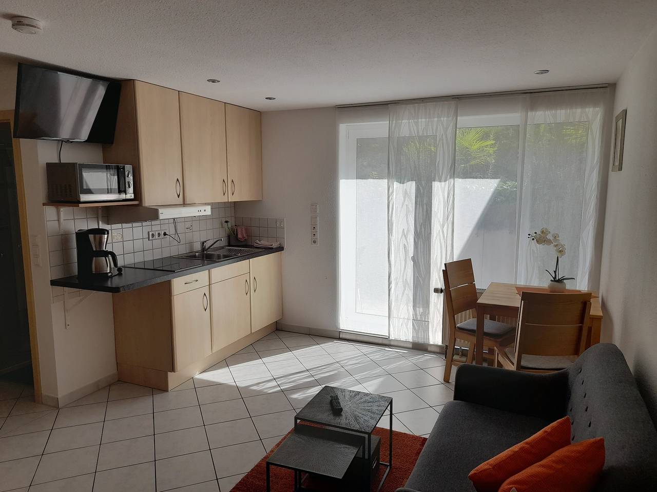 Ganze Ferienwohnung, Ferienwohnung Andrea Egenhofer - 1-Zimmer-Fewo, Ug in Allensbach, Untersee